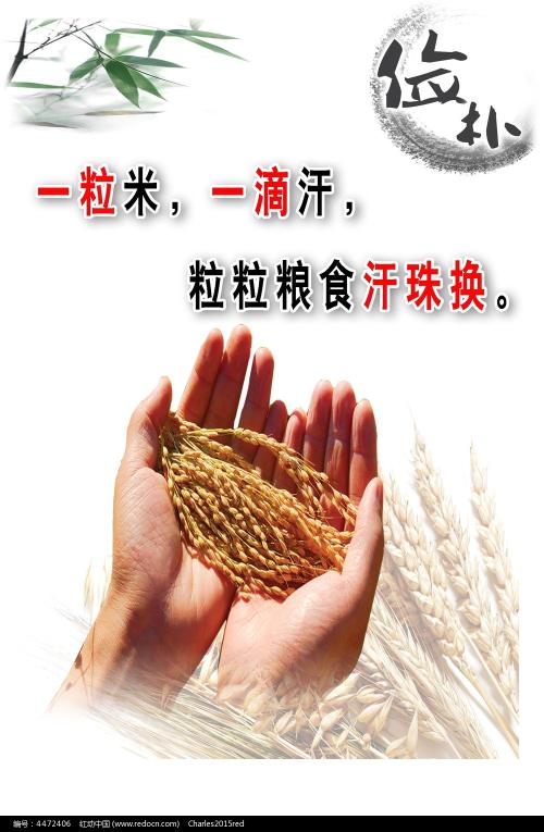复旦大学上海视觉艺术学院毕业证补办